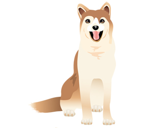 サンプル　日本犬-3
